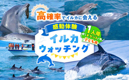 南島原 イルカウォッチング  子ども用 1人用 チケット / ツアーチケット ツアーチケット ツアーチケット ツアーチケット / 南島原市 / イルカウォッチング [SAE003]