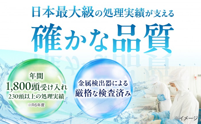 猪肉 ミンチ 1kg 雲仙いのしし / ひき肉 肉 イノシシ ジビエ いのしし ハンバーグ / 南島原市 / もりのめぐみ[SDB012]