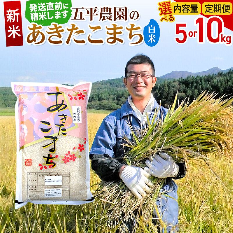 【ふるさと納税】《令和8年産 新米》【白米】あきたこまち【選べる容量 5kg／10kg＋お届け回数 1回〜】秋田県産 五平農園の あきたこまち [あきたこまち 新米 米 お米 こめ 白米 精米 ブランド米 食卓 おにぎり 秋田県産 秋田県 由利本荘市]