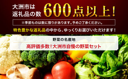 【あとから選べる】大洲市ふるさとギフト 5万円分[AGXX016]5万円5万円5万円