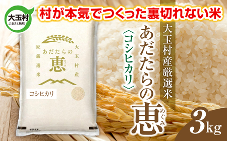 米 大玉村産厳選米「あだたらの恵」（品種：コシヒカリ） 3kg 《 令和7年産  》｜ 福島 大玉村 お米 米作り こしひかり 令和7年 精米 白米 こめ コメ ご飯 送料無料 大玉村農業振興公社 ｜ on-ak-3kg-r7