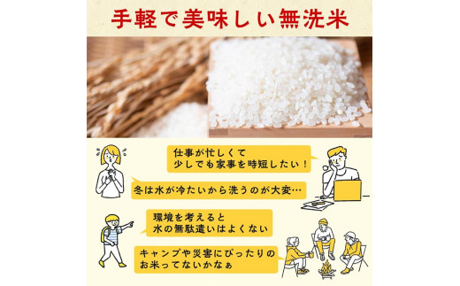 京都丹波産 無洗米 きぬひかり 精米 2kg 3袋 総量 6kg【株式会社ナカノ】