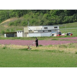 夢のひかり 10kg(こしひかり)【1202446】