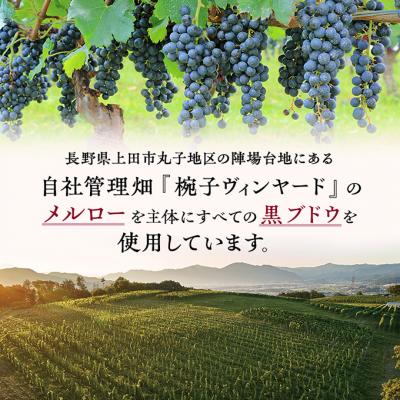 ふるさと納税 上田市 椀子メルロー 750ml シャトー・メルシャン メルロー 赤ワイン[54040419] |  | 02