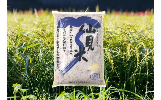 【ふるさと納税】令和7年産 特別栽培米コシヒカリ 「仙見米」5kg 新潟県 五泉市 （有）川内ライスプラント