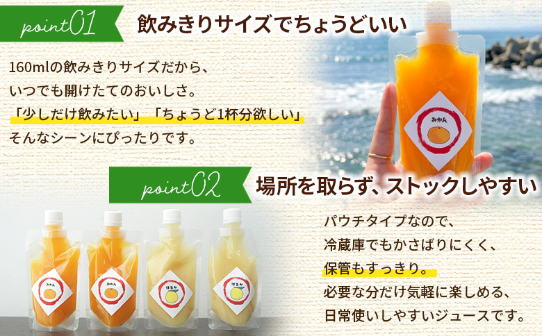＜100％ストレートジュース パウチタイプ 160ml×20個（2種類×10）＞『1か月以内に順次発送予定』種類はおまかせ 飲み比べ セット 果物 くだもの フルーツ 柑橘類 みかん 蜜柑 ミカン み