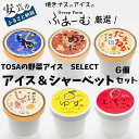 【ふるさと納税】TOSAの野菜アイス！SELECT アイス＆シャーベット 6個セット　ご当地アイスグランプリで最高金賞を受賞した「焼きナスのアイス」　高知県地鶏土佐ジローの卵を100％使用した「卵のアイス」など詰め合わせ　ギフト　送料無料