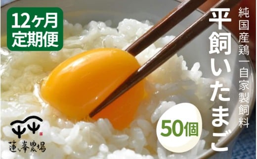 【定期便】 平飼いたまご 50個×12ヶ月 【 卵定期便 たまご定期便 平飼い卵 非遺伝子組み換え 自家配合 たまご タマゴ 平飼い 卵 国産 純国産鶏 もみじの平飼い卵 京都奥丹波 綾部 京都 蓮ヶ峯農場 】