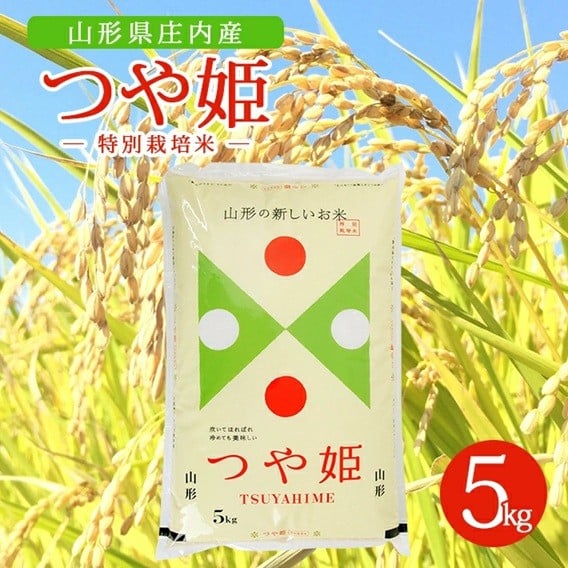 
            令和7年産【精米】特別栽培米 つや姫　5kg×1袋  AK SB0851
          