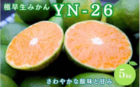 ＼新登場／ 【先行予約】 【全3回定期便】葵農園が贈る！ 秋のこだわりみかんコース （ゆら早生・早生温州・YN-26 各5kgずつ） ※2025年9月より3回お届け / みかん 定期便 柑橘 ゆら早生