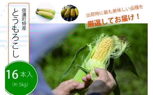 【季節限定！】採れたて最旬の『信濃町特産とうもろこしセット（16本セット）』／ピーターコーン、サニーショコラ、ゴールドラッシュ、味来、優味などから出荷時に最も美味しい品種を発送【長野県信濃町ふるさと納税】　