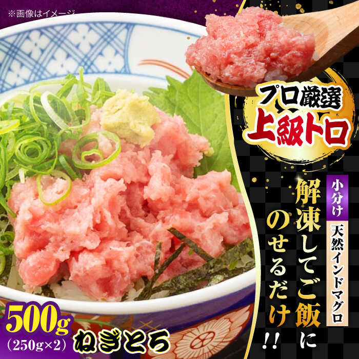 【ふるさと納税】天然 まぐろ ねぎとろ 約500g（約250g×2パック） まぐろ 鮪 ネギトロ ねぎとろ まぐろたたき マグロたたき ネギとろ ねぎトロ 【横須賀商工会議所 おもてなしギフト事務局（本まぐろ直売所 横須賀本店）】[AKAK121] 10000円 1万円