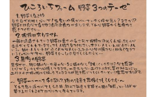 【定期便3ヶ月】農家のおすそわけ（訳アリ）野菜便【 農家 野菜詰め合わせ 野菜 詰め合わせ セット 訳あり 】RT1890-3-1