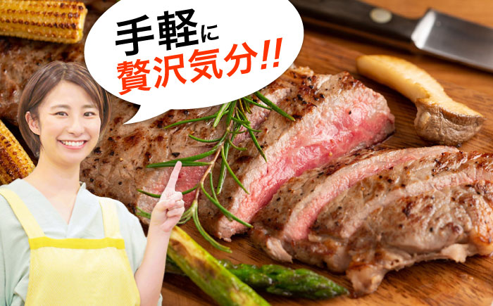 【全12回定期便】おおいた豊後牛 サーロインステーキ 250g (250g×1枚) 日田市 / 株式会社MEAT PLUS　肉 牛肉 和牛 [AREI055] 【全12回定期便】