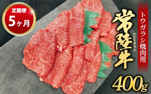 
【定期便 5ヶ月】【希少部位】常陸牛トウガラシ焼肉用400g
