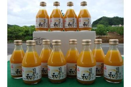 【北海道、沖縄、離島への配送不可】有田みかんの和１８０ｍｌ×１２本
