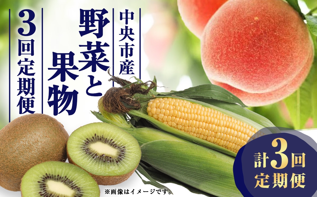 
                  【 3回定期便 】 中央市産 とうもろこし、もも、キウイフルーツ くだもの 果物 フルーツ 野菜 やさい ピーチ モモ 桃 コーン キウイ 旬のお野菜 旬の果物 国産 山梨県産 定期便 【 2026年6月下旬～12月下旬発送予定 】
                