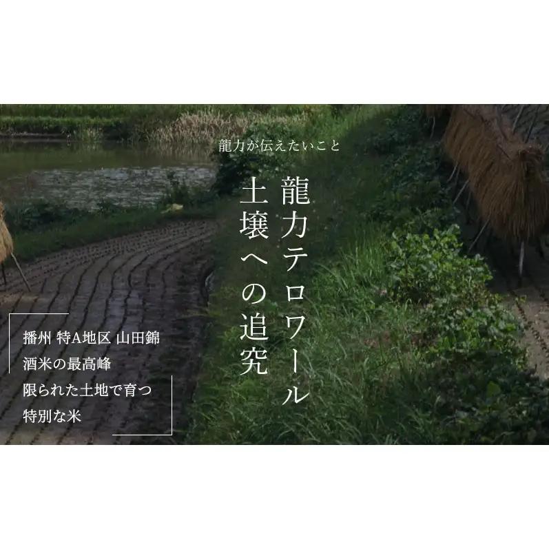日本酒 龍力 大吟醸 姫路城 ケース入 720ml 日本酒