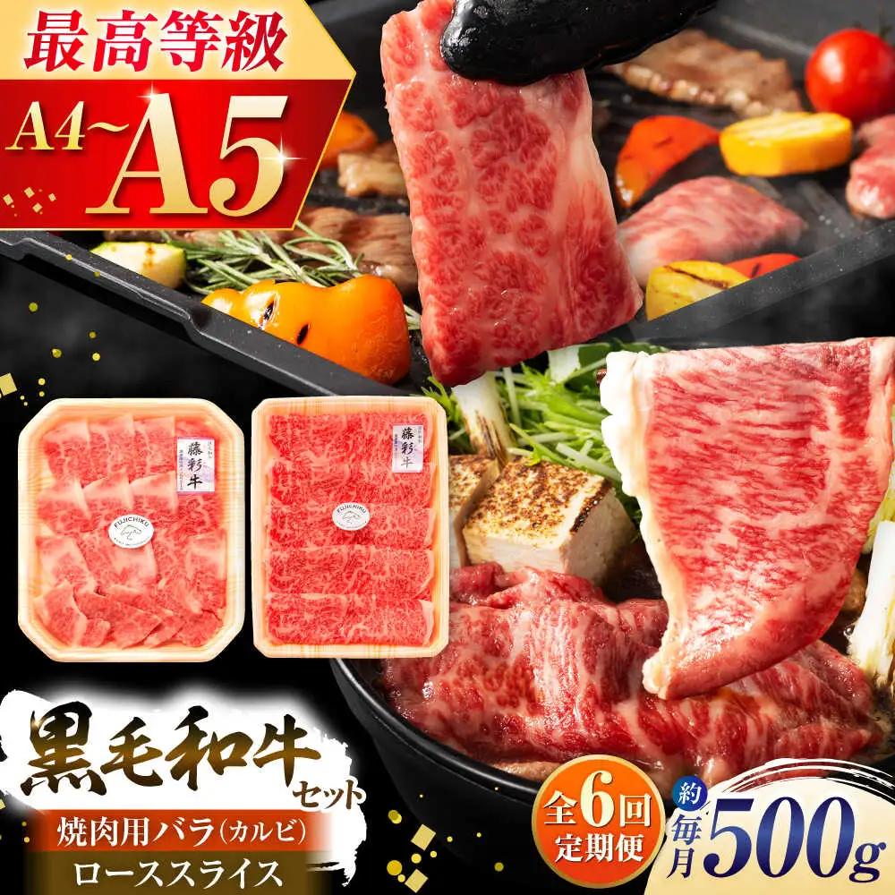 6回定期くまもと黒毛和牛「藤彩牛」2種の食べ比べ計500g 和牛 BHAD037
