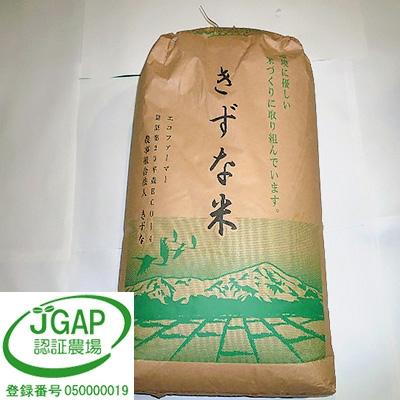 ふるさと納税 横手市 令和7年産「あきたこまち」玄米30kg【JGAP認証】【秋田県特別栽培農産物認証】