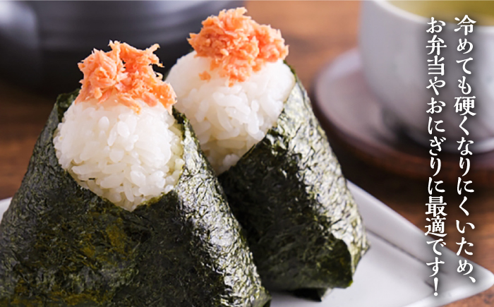 【全2回定期便】壱岐産　にこまる　5kg《壱岐市》【壱岐市農業協同組合】 [JBO134] 米 お米 ご飯 ごはん 白米 お弁当 朝食 常温 定期便   32000 32000円