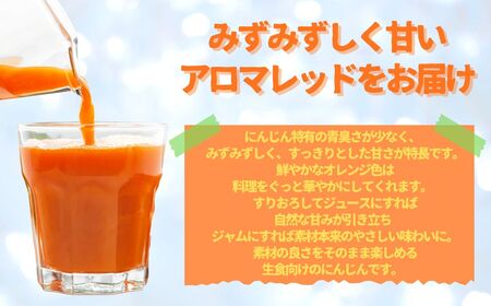 訳あり にんじん 5kg 人参 野菜 | 石川県 小松市 JAあぐり