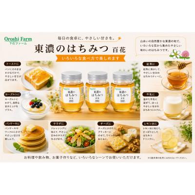 ふるさと納税 土岐市 東濃のはちみつ　百花　220g　3本セット |  | 01