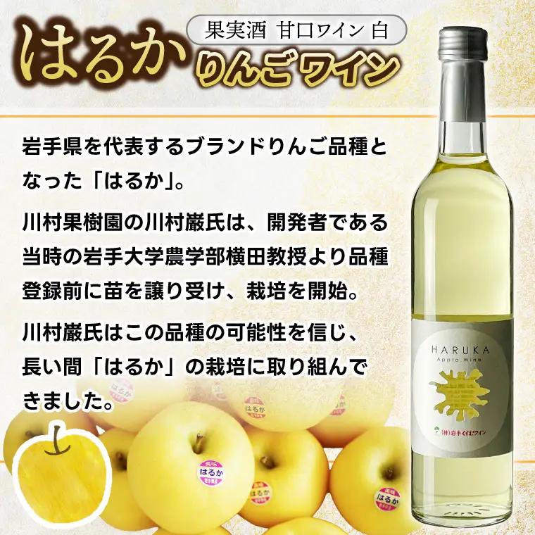 りんごワイン「はるか」2本セット(EX002)ワイン 