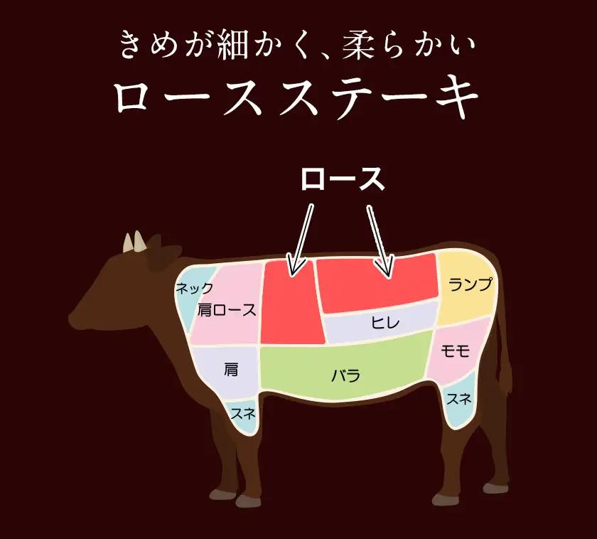 あか牛（褐色和種）ロースステーキ (リブまたはサーロイン) 250g×2 500g 熊本県産 肉 和牛 牛肉 赤牛 あかうし リブロース サーロイン 冷凍 《30日以内に出荷予定(土日祝除く)》