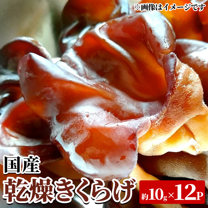 国産乾燥きくらげ(約10g×12P・計約120g) 国産 阿久根市産 きくらげ 木耳 キクラゲ 乾燥きくらげ 食物繊維 ビタミンD 【竹ん子山】akn097-20
