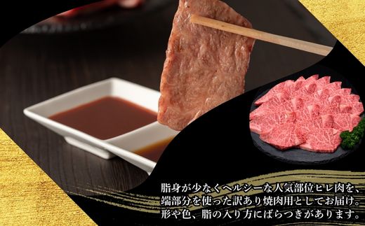 【訳あり】A5,4等級 博多和牛ヒレ焼肉 600g [HS028-1] 久田精肉店【福岡県須恵町】
