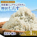 【ふるさと納税】 しらす 500g ～ 4kg 訳あり 冷凍 ちりめん かちり しらす干し 減塩 極み ごはん 丼 パスタ チャーハン サラダ 魚 料理 山庄 愛知県 南知多町 師崎【配送不可地域：北海道・沖縄・離島】