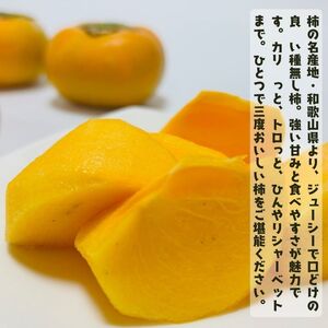 【先行予約】【2026年10月発送】柿【ご家庭用】和歌山のたねなし柿　秀優混合　約2kg【2026年10月上旬～下旬頃に順次発送予定】【AA-ard238】