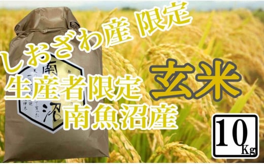
            【令和7年産】【10kg】玄米 しおざわ産限定 生産者限定 南魚沼産コシヒカリ【2025年10月上旬より順次発送予定】
          