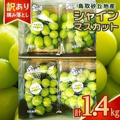 
            915．シャインマスカット 訳あり 家庭用 鳥取砂丘地産 1.4kg（350g×4パック） ※離島への配送不可 ※2025年8月下旬～10月下旬頃に順次発送予定
          