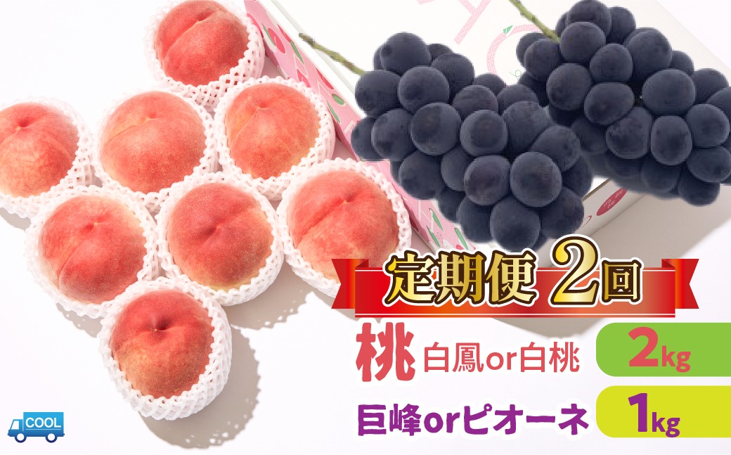 ＜25年発送先行予約＞【2回定期便】桃・巨峰orピオーネ　106-024