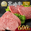 【ふるさと納税】 宮崎牛ステーキ 2種 600g - 肉 牛肉 黒毛和牛 宮崎県産牛 九州産牛 国産牛 宮崎県産 九州産 国産 ロース モモ ステーキ E11118