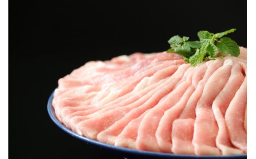 【6ヶ月定期便】佐賀牛 肥前さくらポーク ありたどり 食べ比べセット 計12.1kg ヒレ ロース モモ ハンバーグ ステーキ 999-J1972