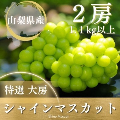 
シャインマスカット 2房 1.1kg以上 山梨県 山梨市産【1364649】
