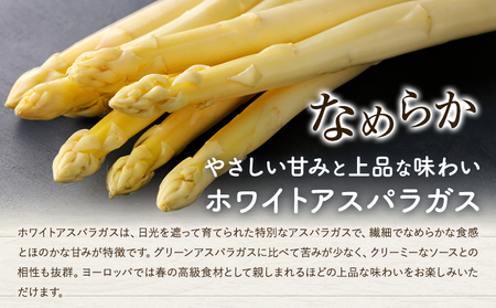 アスパラガス ホワイト 春アスパラ 1束 100g 10束 髙橋商店