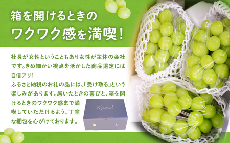【?先行予約?2024年/令和6年発送分】シャインマスカット ２房　１.２㎏相当　