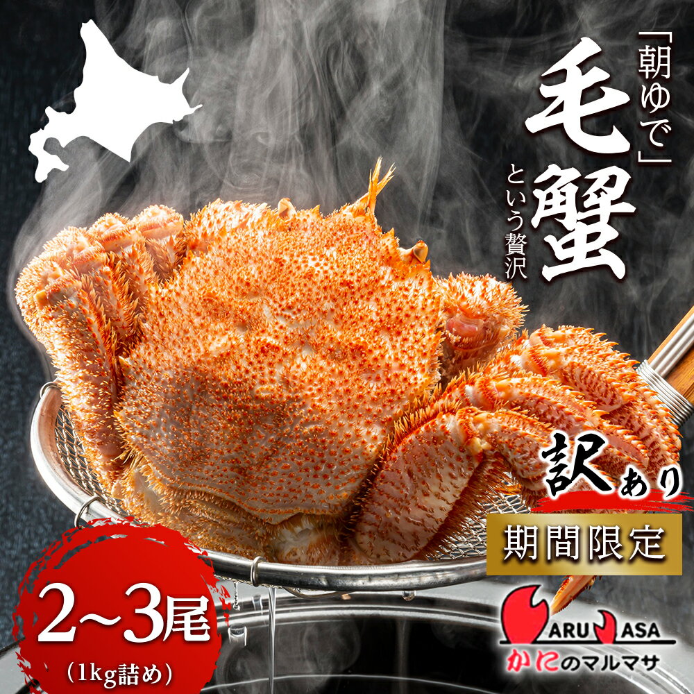 【ふるさと納税】送料無料 北海道産【朝ゆで】訳あり毛がに 1.0kg詰 道産品 毛蟹 毛ガニ カニ 蟹 規格外品 不揃い 訳アリ 訳有り 理由アリ B級グルメ