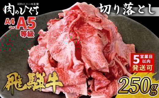 【7月発送】 飛騨牛 切り落とし 250g A5 A4 国産 牛 冷凍 お試し 和牛 牛肉 切落し 切り落し 訳あり 牛丼 すき焼き しゃぶしゃぶ 東白川村 岐阜 飛騨 贅沢 霜降り ロース バラ もも ウデ 肉のひぐち 5000円 五千円