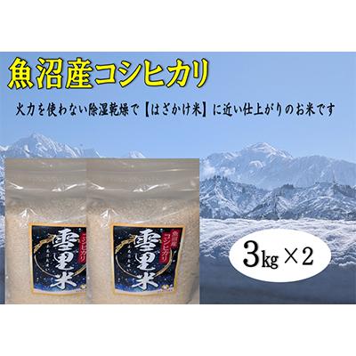 ふるさと納税 魚沼市 「令和8年産　新米先行受付」生産者直送!魚沼産コシヒカリ【雪里米(ふるさとまい)】(精米)3kg×2