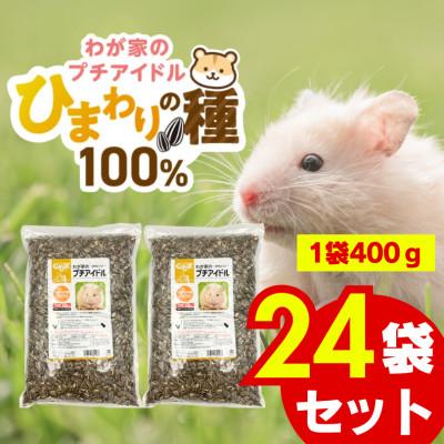 ふるさと納税 久留米市 わが家のプチアイドル ひまわりの種100% 400g×24袋セット(久留米市)