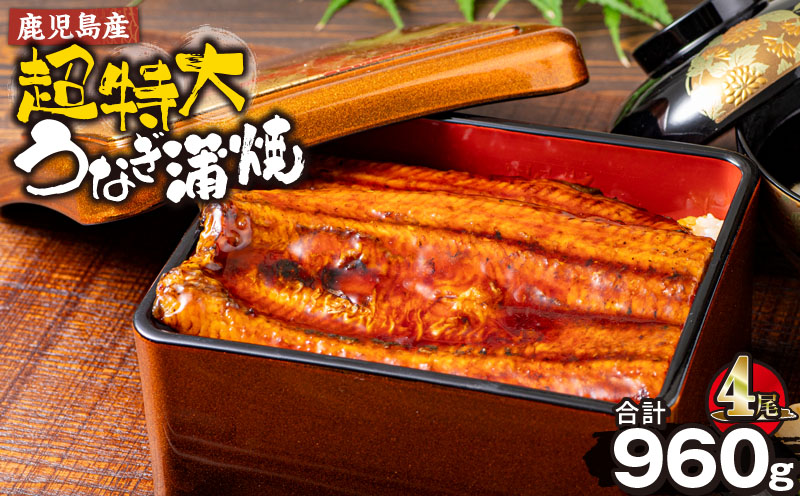 鹿児島産超特大うなぎ蒲焼(無頭) (計960g以上・240g以上×4尾) 鰻 蒲焼き 真空パック【株式会社財宝】B214