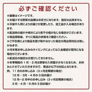 津軽の季節の野菜詰め合わせセット 《定期便》【10ヶ月連続】 【中泊町特産物直売所ピュア】旬の野菜 旬野菜 旬 新鮮 食品 グルメ 詰め合わせ ファーマーズマーケット 甘い サラダ 国産 お取り寄せ 