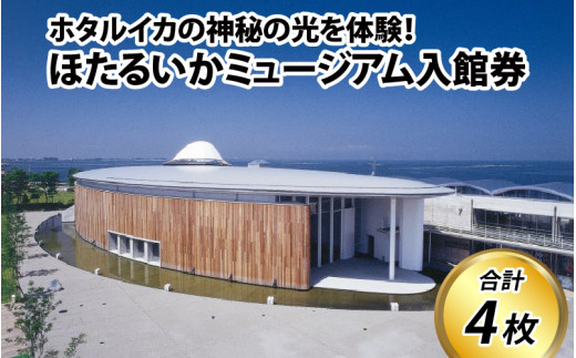ほたるいかミュージアム入館券 / 4枚