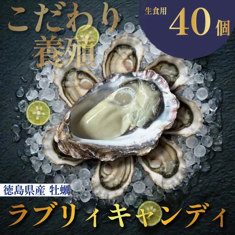 【先行予約】 牡蠣 生牡蠣 殻付き 40個 生食可  (ナイフ付き)ラブリィキャンディ 真牡蠣 かき カキ