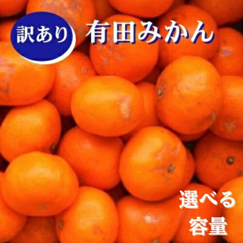 【ふるさと納税】紀州有田みかん 選べる容量　訳あり　キズ　御家庭用　サイズ混合　※2025年11月下旬～2026年1月中旬頃に順次発送予定 ※北海道・沖縄・離島配送不可